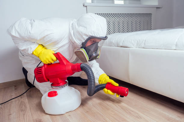 Professional Pest Control in Canby, OR